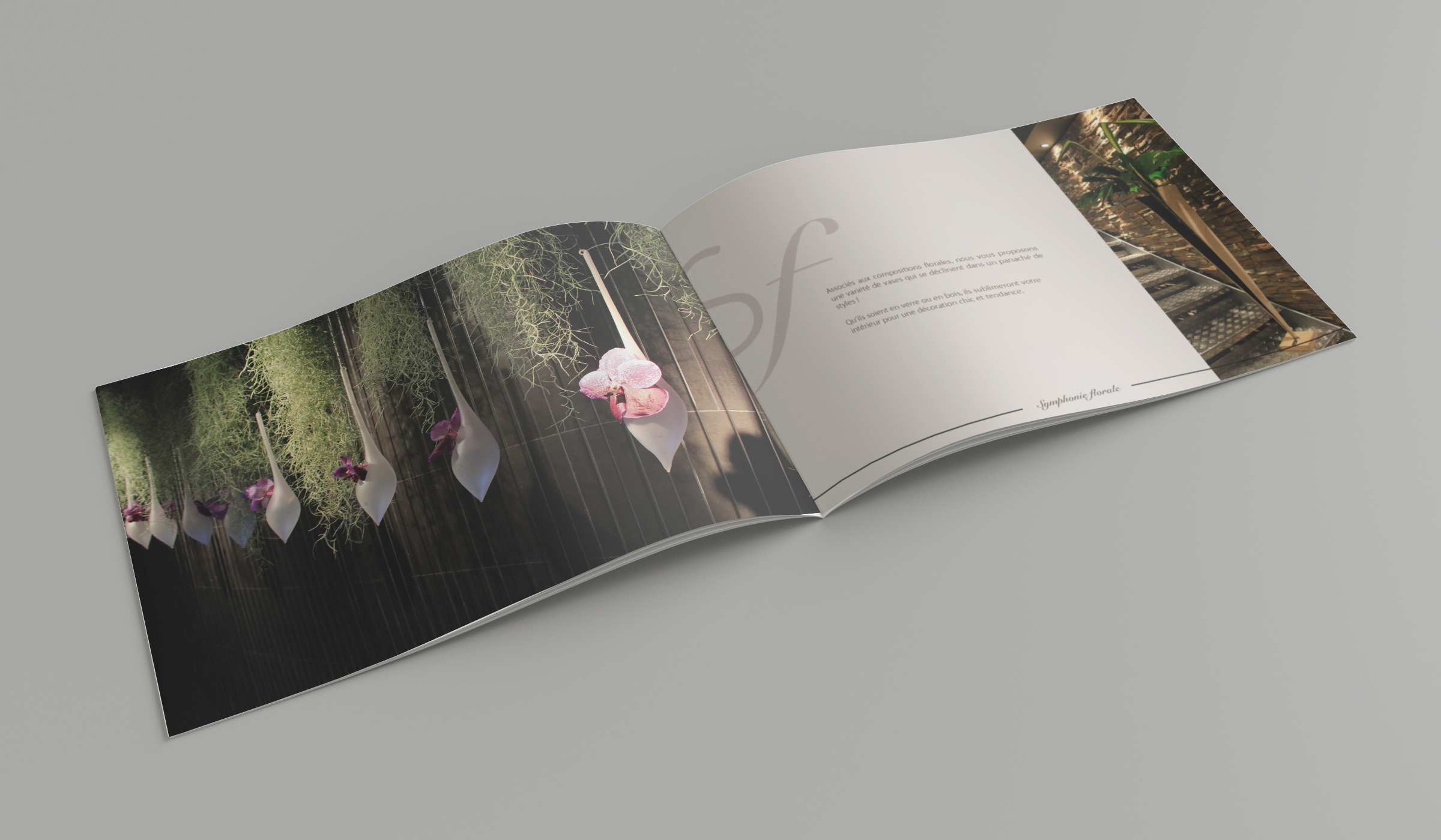 brochure-presentation brochure-presentation